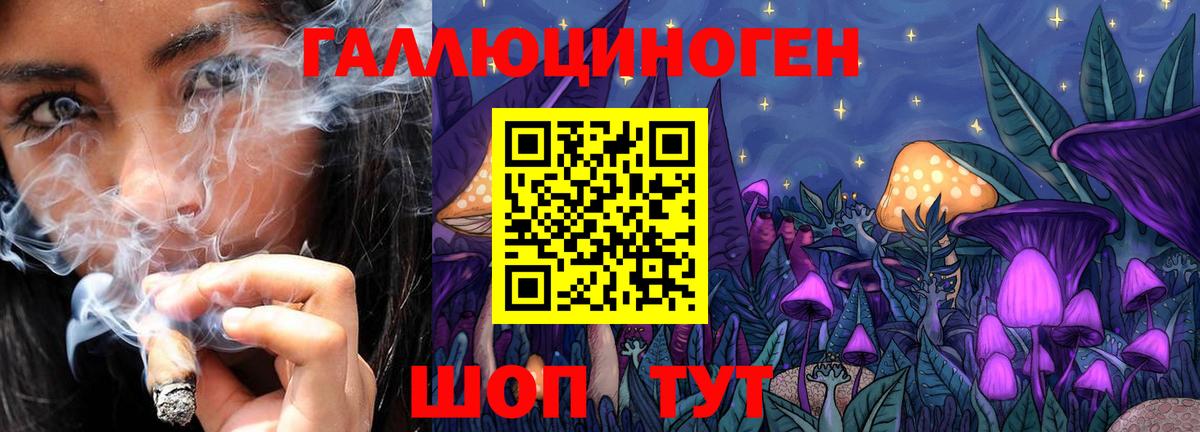 Галлюциногенные грибы Magic Shrooms Ессентуки