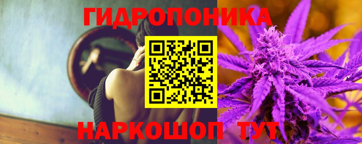 Ессентуки  Бошки марихуана семена  Вход с VPN  Каннабис OG Kush  Каннабис MAZAR 